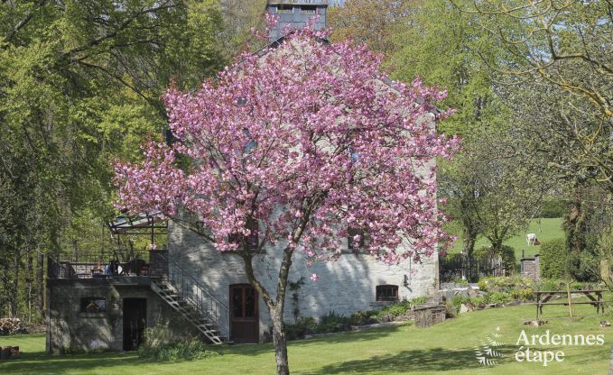 Cottage in Lierneux voor 5 personen in de Ardennen
