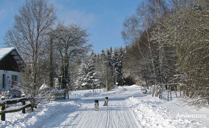 Luxe villa in Lierneux voor 9 personen in de Ardennen