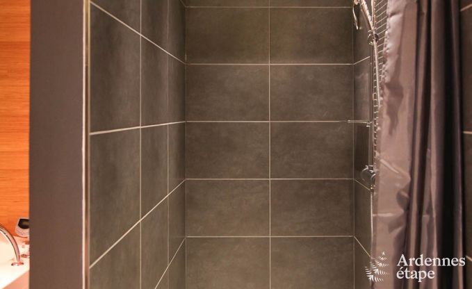 Luxe villa in Lierneux voor 9 personen in de Ardennen