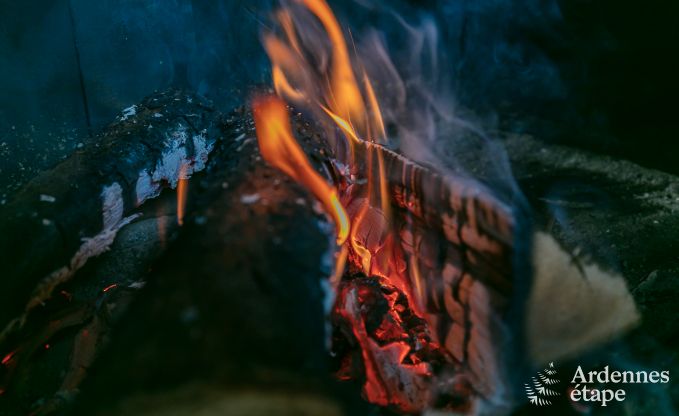 Vakantiehuis in Lierneux voor 9 personen in de Ardennen
