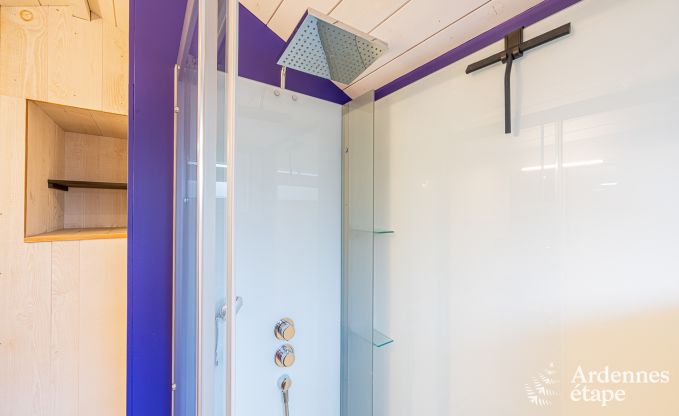 Comfortabele vakantiewoning voor 4 personen in Lierneux, Ardennen