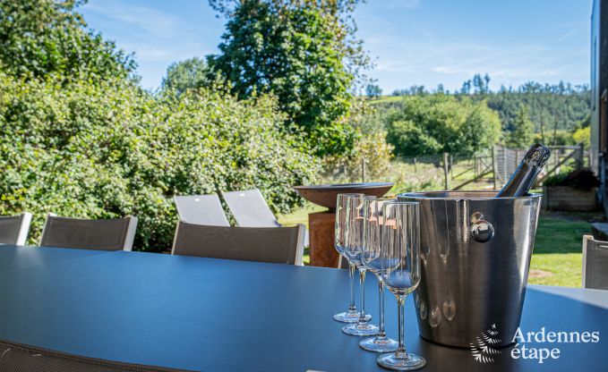 Vakantiehuis in Lierneux voor 12 personen in de Ardennen