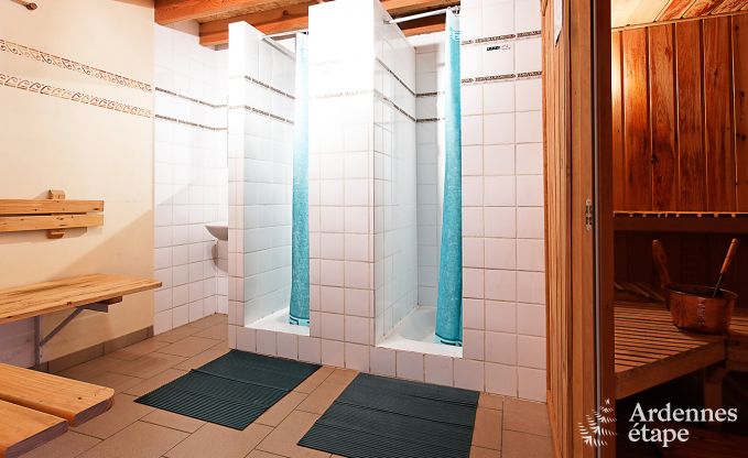 19e eeuws authentiek huis met moderne gite, sauna en zwembad voor 14 personen in Lierneux, Ardennen