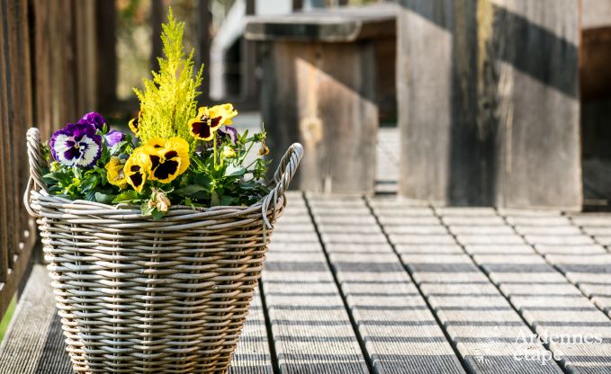 Buitengewoon in Lierneux voor 4/5 personen in de Ardennen