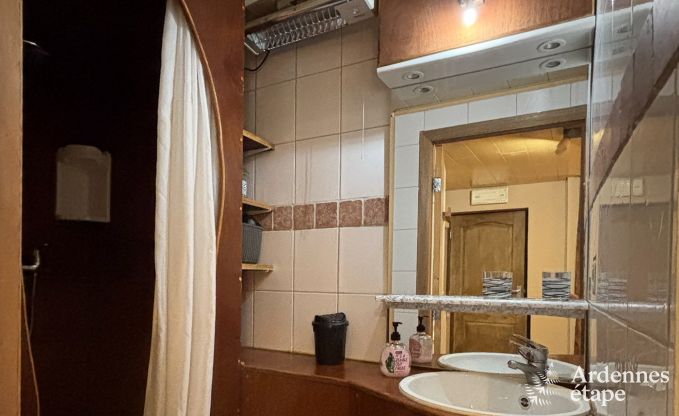 Vakantiehuis in Lierneux voor 12 personen in de Ardennen