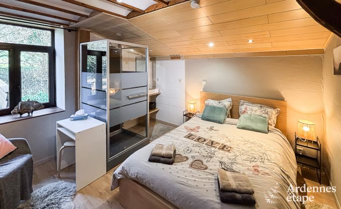 Vakantiehuis in Lierneux voor 12 personen in de Ardennen