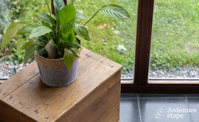 Vakantiehuis in Lierneux voor 8 personen in de Ardennen