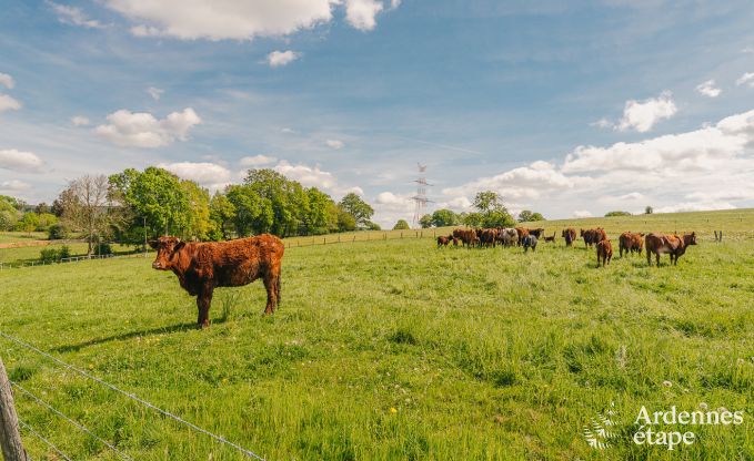 Vakantiehuis in Lierneux voor 15 personen in de Ardennen