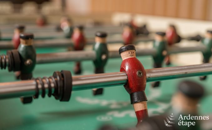 Vakantiehuis in Lierneux voor 15 personen in de Ardennen