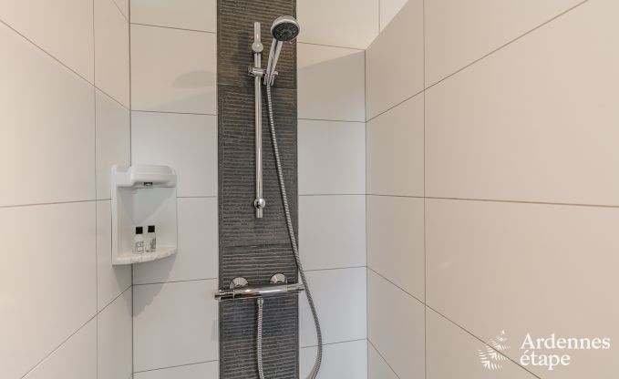 Vakantiehuis in Lierneux voor 8/10 personen in de Ardennen