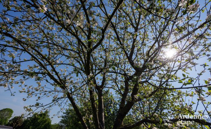 Vakantiehuis in Limbourg voor 18 personen in de Ardennen