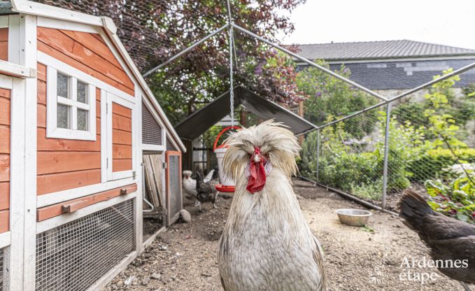 Vakantiehuis in Limbourg voor 9 personen in de Ardennen