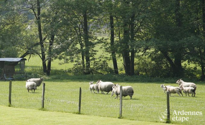 Appartement in Malmedy voor 7 personen in de Ardennen