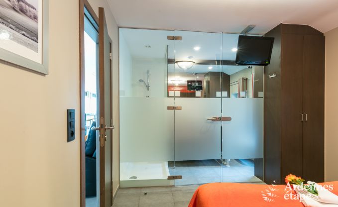 Luxe villa in Malmedy voor 8/9 personen in de Ardennen