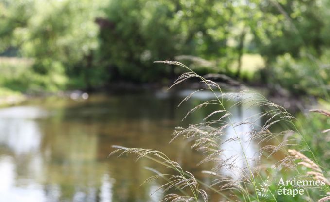 Vakantiehuis in Malmedy voor 4/5 personen in de Ardennen