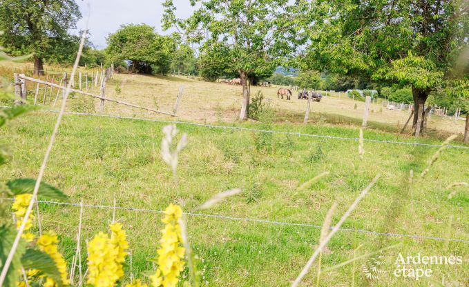 Vakantiehuis in Malmedy voor 6 personen in de Ardennen