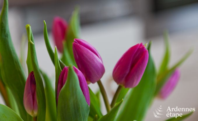 Vakantiehuis in Malmedy voor 10 personen in de Ardennen