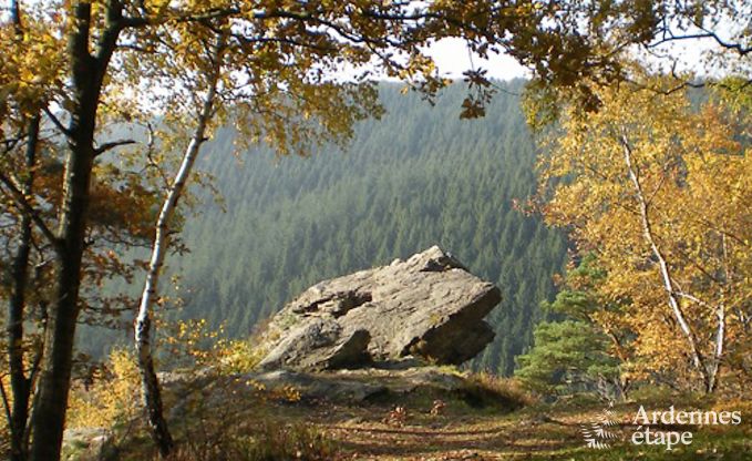 Ruim vakantiehuis voor 8 personen in Malmedy met 4 slaapkamers, sauna, open haard en priv�tuin