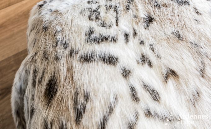 Vakantiehuis in Malmedy voor 20 personen in de Ardennen