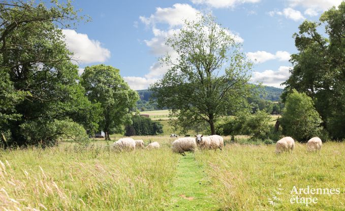 Appartement in Malmedy voor 7 personen in de Ardennen
