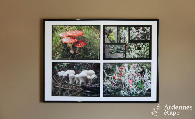 Appartement in Malmedy voor 7 personen in de Ardennen