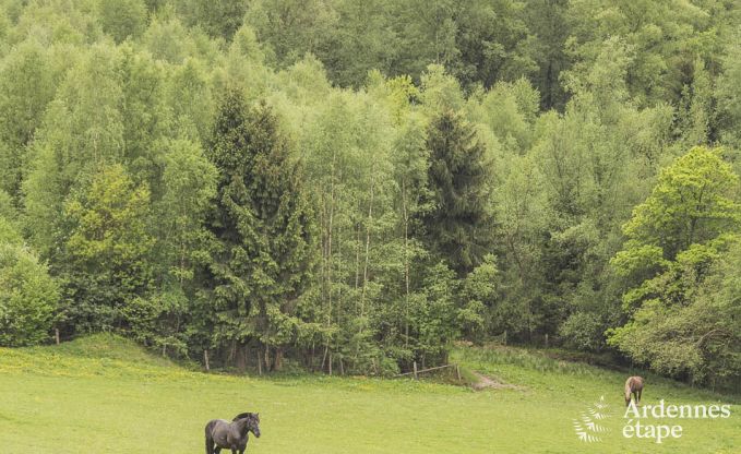 Chalet in Malmedy voor 10 personen in de Ardennen