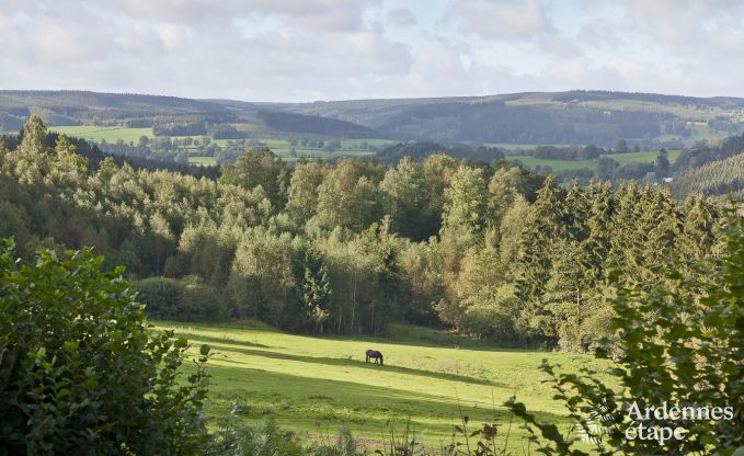 Chalet in Malmedy voor 10 personen in de Ardennen
