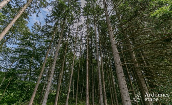 Luxe villa in Malmedy voor 14 personen in de Ardennen