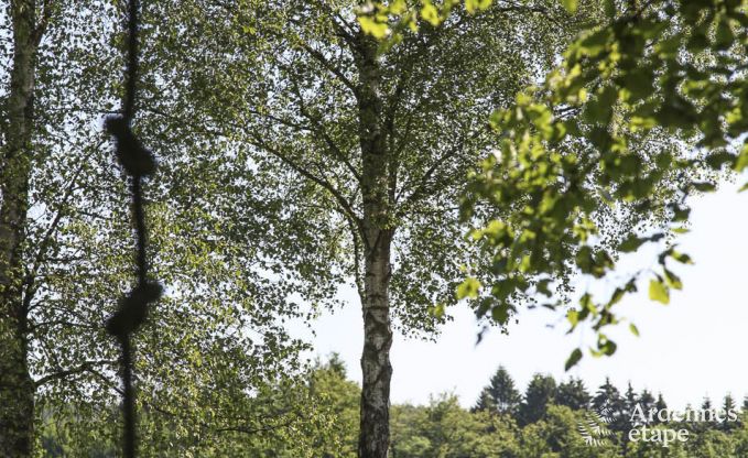 Vakantiehuis in Malmedy voor 8 personen in de Ardennen