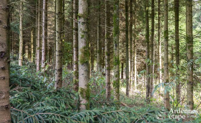 Vakantiehuis in Malmedy voor 8 personen in de Ardennen