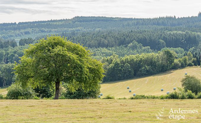 Vakantiehuis in Malmedy voor 4 personen in de Ardennen