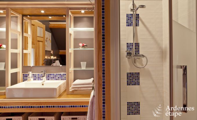 Vakantiehuis in Malmedy voor 10/12 personen in de Ardennen