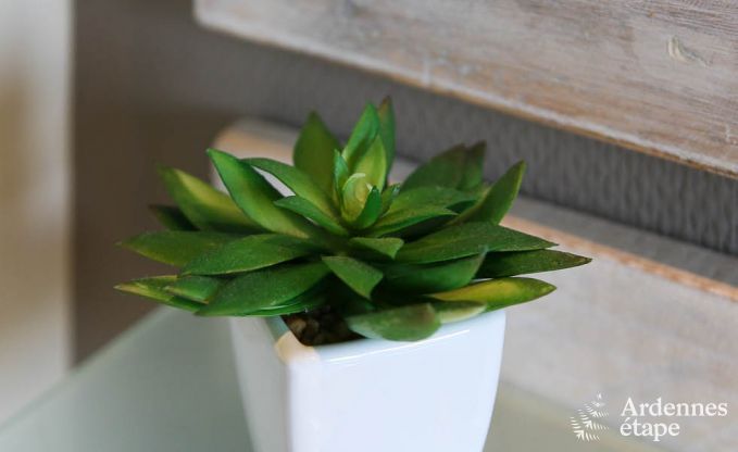 Vakantiehuis in Malmedy voor 2/4 personen in de Ardennen