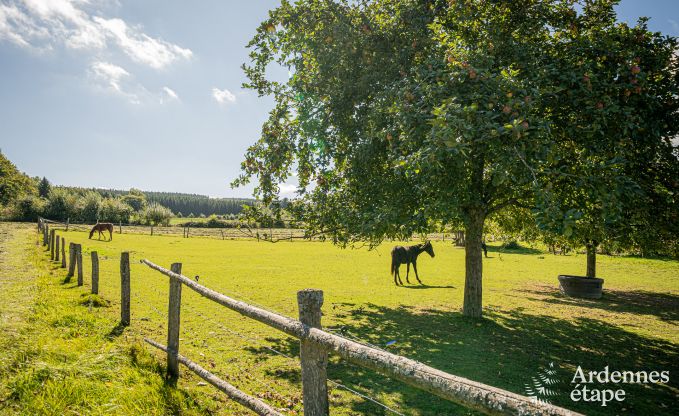 Ruime vakantiewoning in Manhay voor 15 personen met moderne faciliteiten in de Ardennen