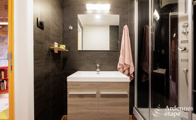 Charmant vakantiehuis voor 9 personen in Manhay, Ardennen