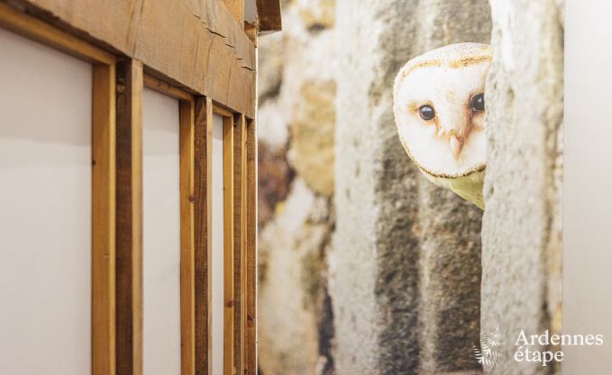 Charmant vakantiehuis voor 9 personen in Manhay, Ardennen