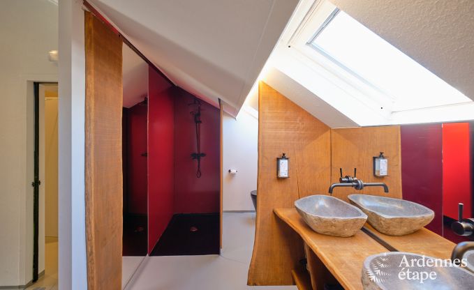 Vakantiehuis in Manhay voor 20 personen met 7 slaapkamers, eigen discotheek en bioscoop