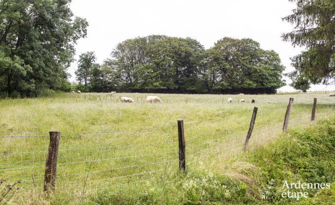 Vakantiehuis in Manhay voor 4/5 personen in de Ardennen