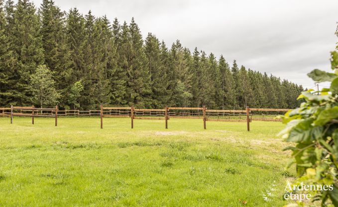 Vakantiehuis in Manhay voor 9 personen in de Ardennen
