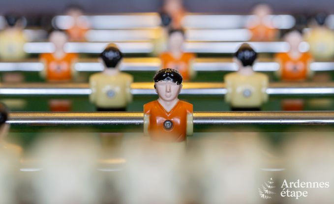 Vakantiehuis in Manhay voor 15 personen in de Ardennen