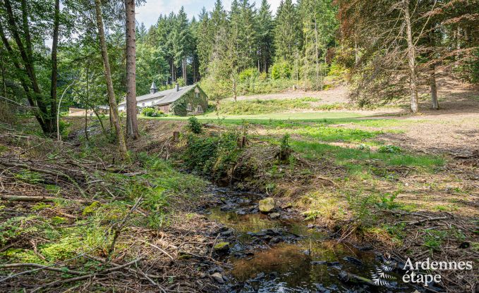 Charmant vakantiehuis in Manhay voor 8 personen, met verwarmd buitenzwembad, priv�vijver en fietsgarage aan de rand van het bos
