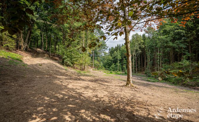 Charmant vakantiehuis in Manhay voor 8 personen, met verwarmd buitenzwembad, priv�vijver en fietsgarage aan de rand van het bos