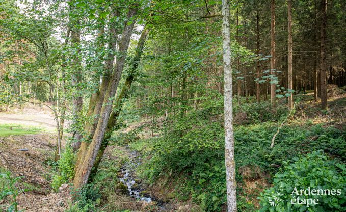 Charmant vakantiehuis in Manhay voor 8 personen, met verwarmd buitenzwembad, priv�vijver en fietsgarage aan de rand van het bos