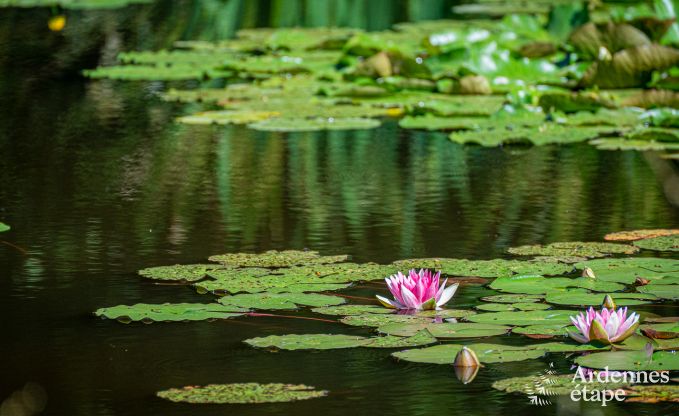 Chalet in Manhay voor 2 personen in de Ardennen