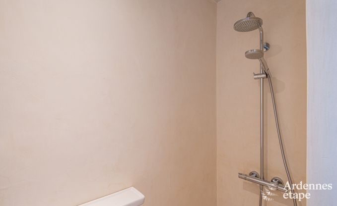 Charmant en stijlvol boerderijtje voor 14 personen en 2 honden in Manhay