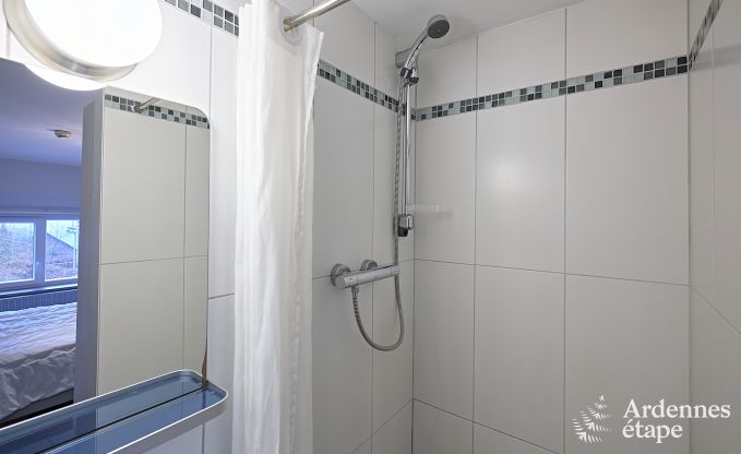 Ruim vakantiehuis voor 30 personen in Manhay, Ardennen