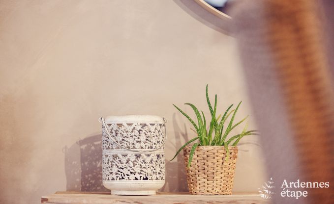 Vakantiehuis in Manhay voor 8 personen in de Ardennen