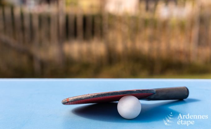Vakantiehuis in Manhay voor 10 personen in de Ardennen