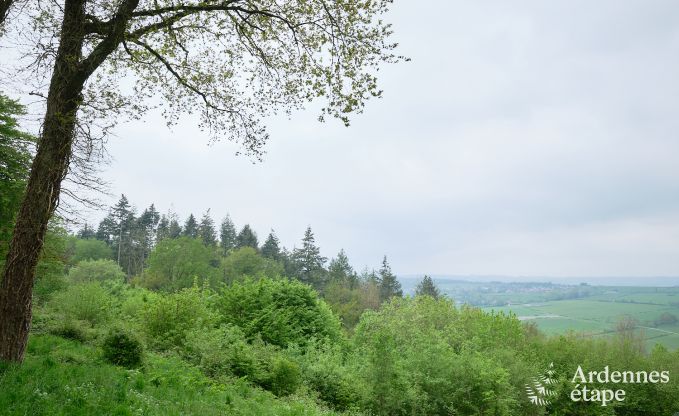 Houten chalet voor 6 personen te midden van de natuur in Marche-en-Famenne, Ardennen