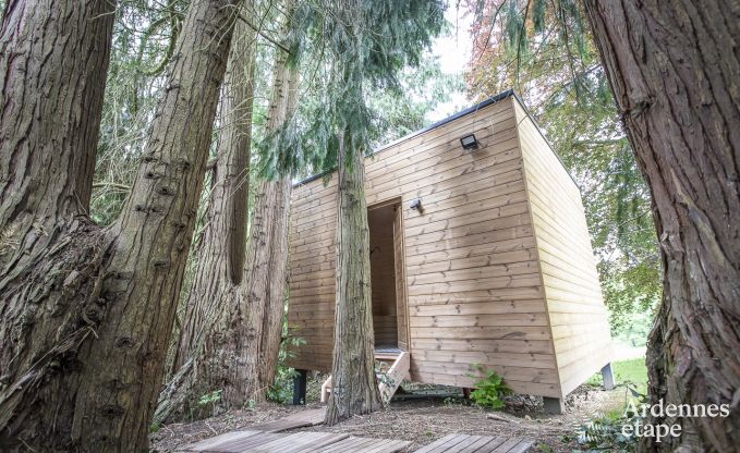 Kasteel in Marche-en-Famenne voor 15 personen in de Ardennen